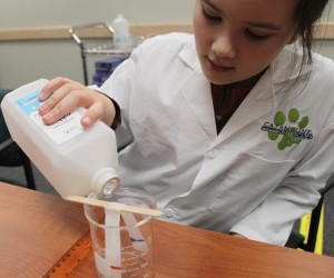 Pour Rubbing Alcohol Into Jar