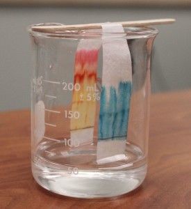 Stop Chromatography Before Solvent Front Reaches Top of Filter